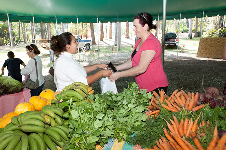 food prices increased