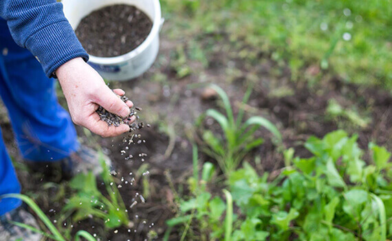 Fertilizers