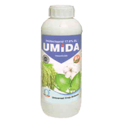 Umida